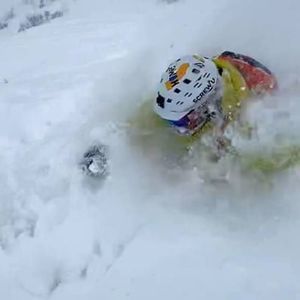 Meet your Posher, Dino